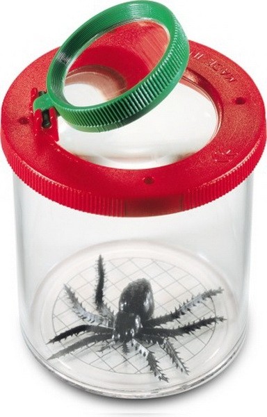 Boîte loupe à insectes