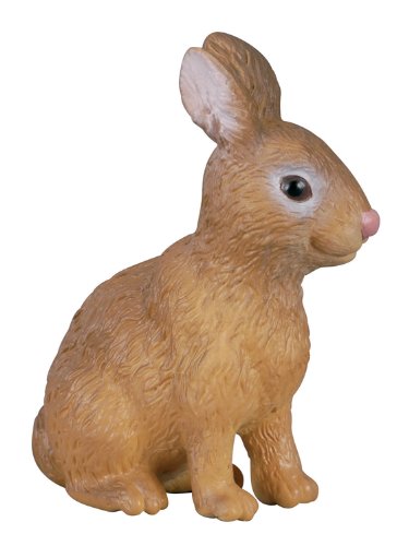 Lapin