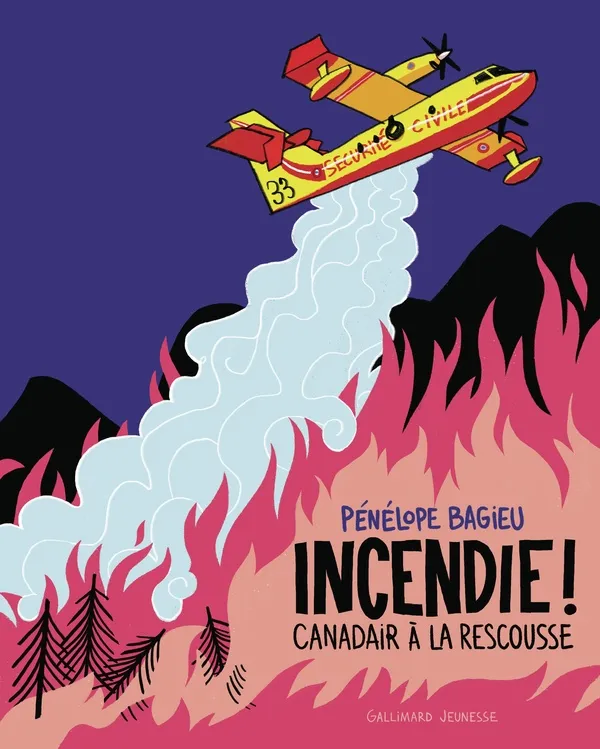 Incendie ! Canadair à la rescousse