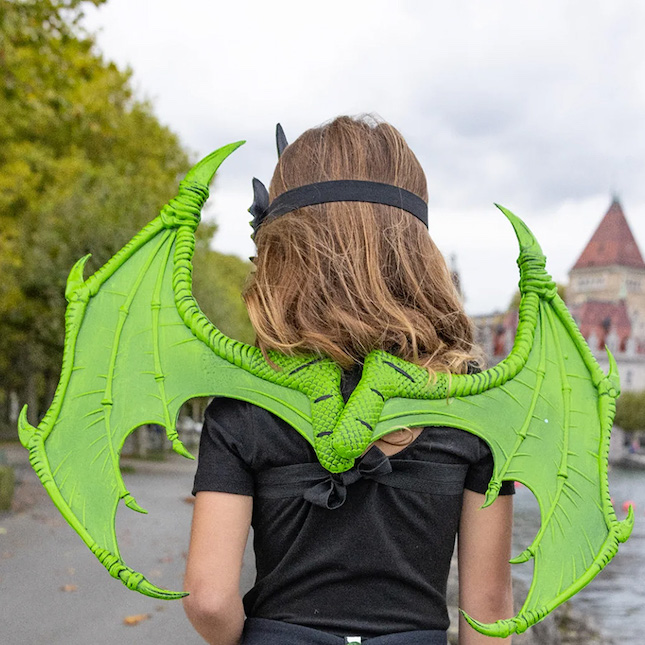 [GR-2804] Ailes de dragon