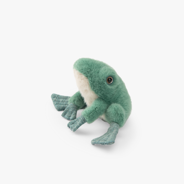 Grenouille Tout autour du monde