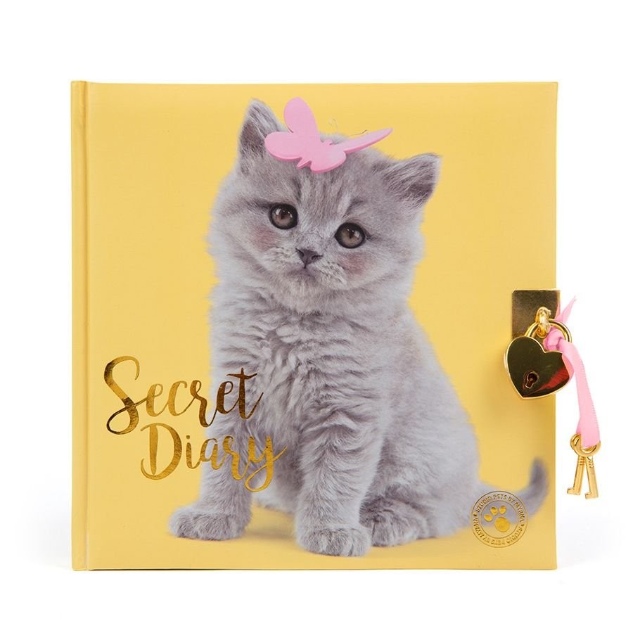 [ST-9765] Journal secret - Chatons
