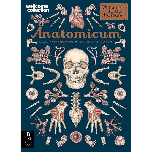 [CA-7316] Anatomicum
