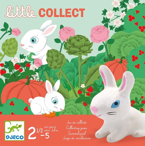 [DJ-5589] Little Collect Djeco