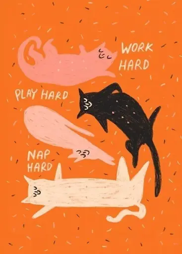 [PK-54] Carte postale Work hard Play hard Nap hard Slinga Illustration