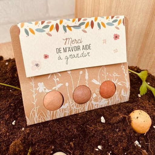 [Billes de fleurs à planter - Merci aidé grandir] Billes de fleurs à planter Merci de m'avoir aidé grandir