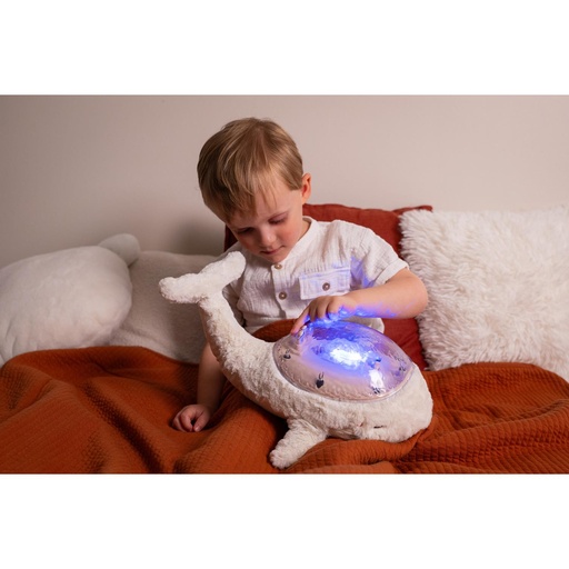 [CL-0515] Tranquil Whale- Baleine lumineuse Cloud-B 
