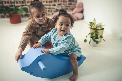 [MO-7722] Dolphin Moes