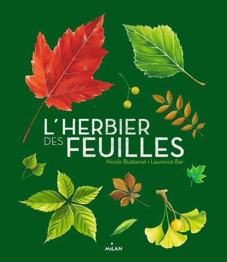 [MI-6463]  L'herbier des feuilles 