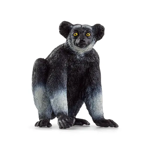 [SC-2258] Indri Schleich