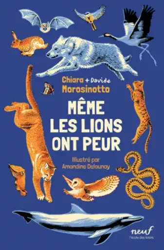 [EC-6347] Même les lions ont peur
