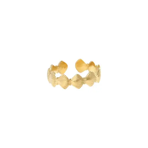 [LE-1808] Bagues rangée coquillages