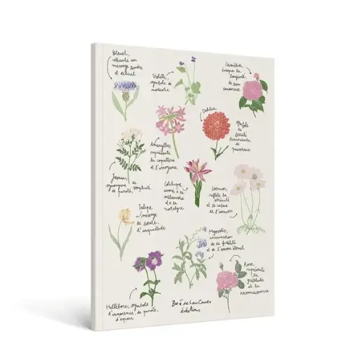 [HA-0229] Carnet Fleurs A4 Zoe de Las Cases