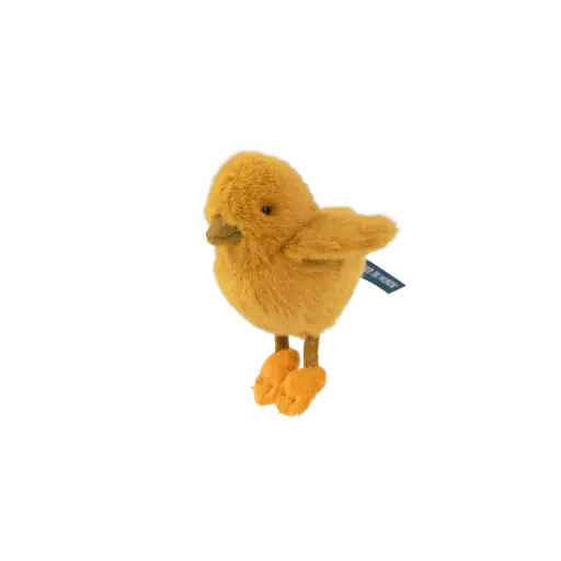 [MO-0509] Poussin Tout autour du Monde