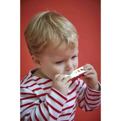 [JA-6093] Harmonica Confetti 