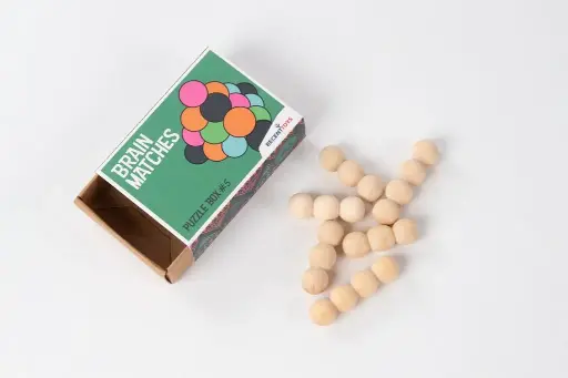 [RE-1808] Brain Matches Puzzle Box #5