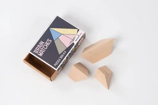 [RE-1839] Brain Matches Puzzle Box #8