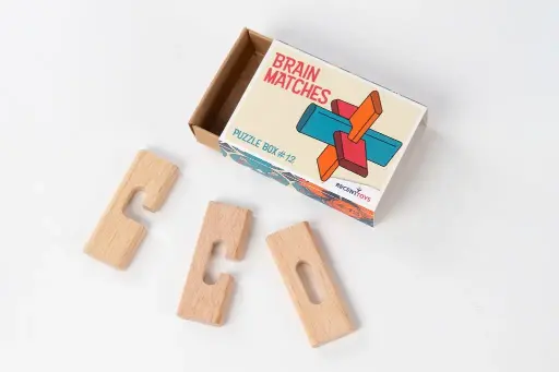 [RE-1877] Brain Matches Puzzle Box #12