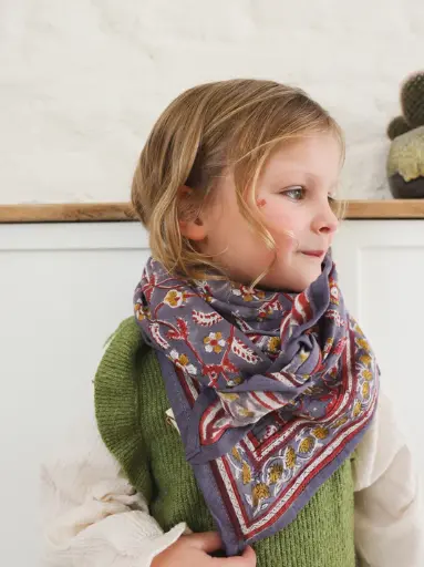 Foulard Adulte Delhi Violine So Family 